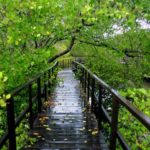 Daftar Objek Wisata Di Indramayu